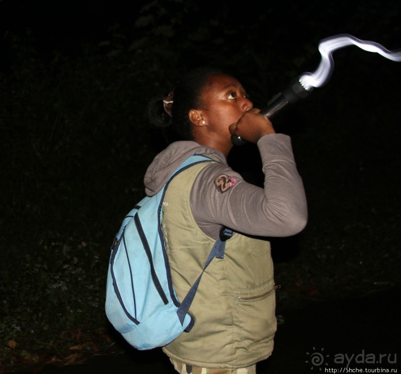 Не ходите ночью в Африку гулять...