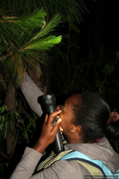 Не ходите ночью в Африку гулять...