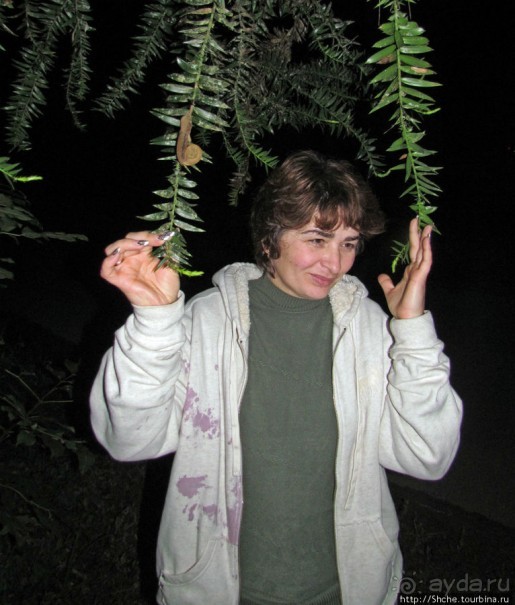 Не ходите ночью в Африку гулять...