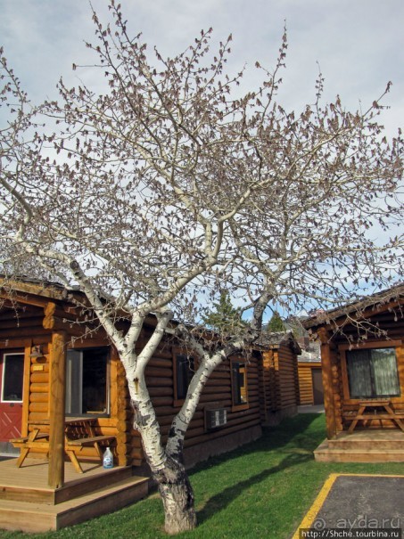 Уют, созданный деревянных дел мастерами в городе ковбоев