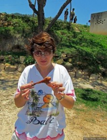 А не отведать ли жареной тилапии?