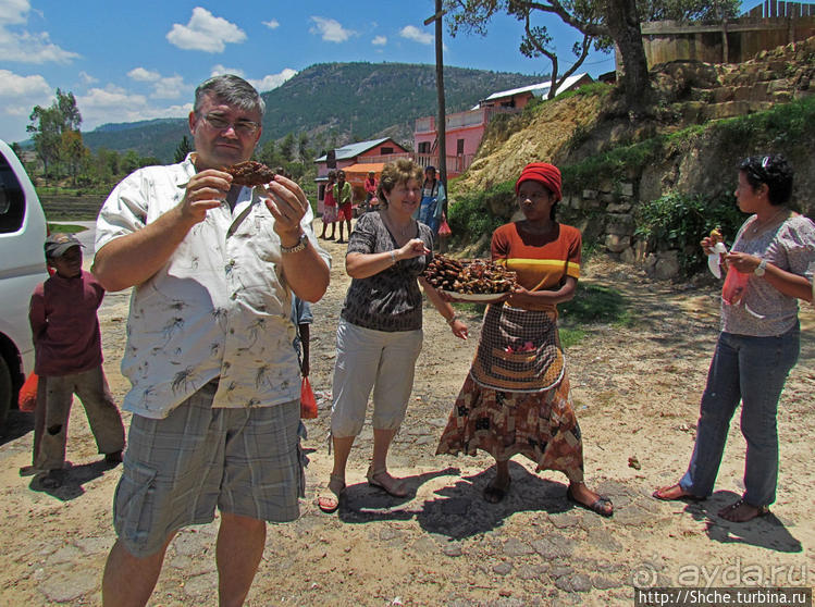 А не отведать ли жареной тилапии?