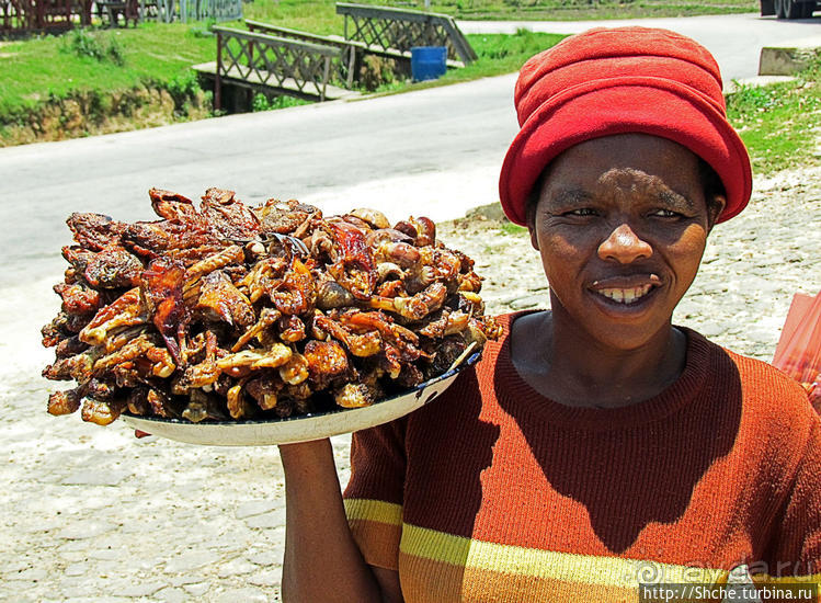 А не отведать ли жареной тилапии?