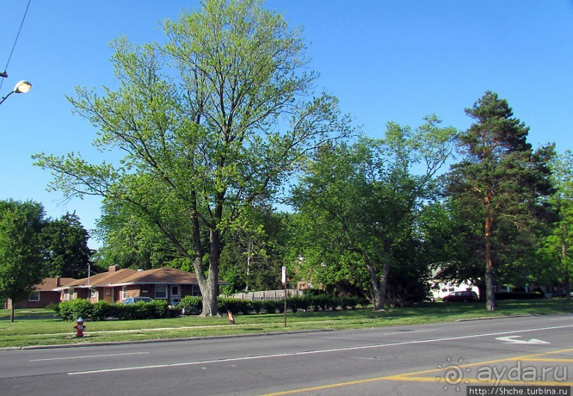 Толедо — промышленный и научный центр на озере Эри