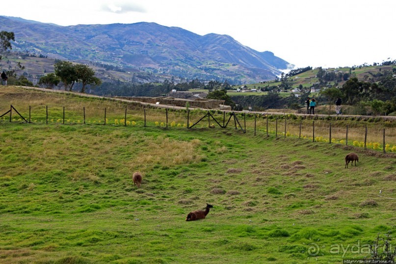 Империя инков. На дальних рубежах