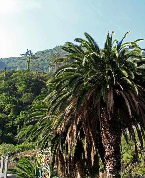 Рибейра Брава. В каменном мешке Рибейра Брава. В каменном мешке