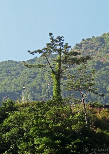 Рибейра Брава. В каменном мешке Рибейра Брава. В каменном мешке