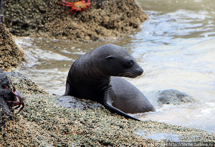 Экскурсия на остров Санта Фе — что хорошо, что плохо