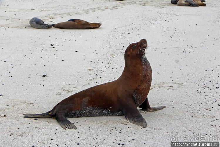 Экскурсия на остров Санта Фе — что хорошо, что плохо