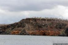 Экскурсия на остров Санта Фе — что хорошо, что плохо