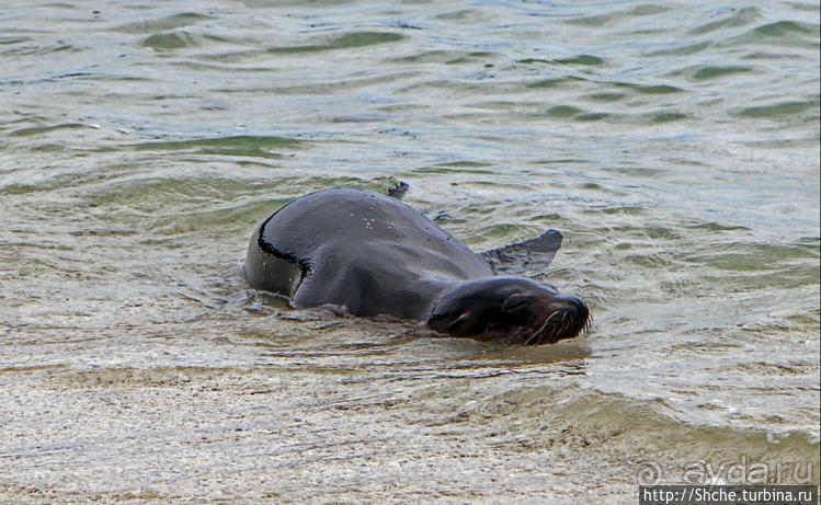 Экскурсия на остров Санта Фе — что хорошо, что плохо