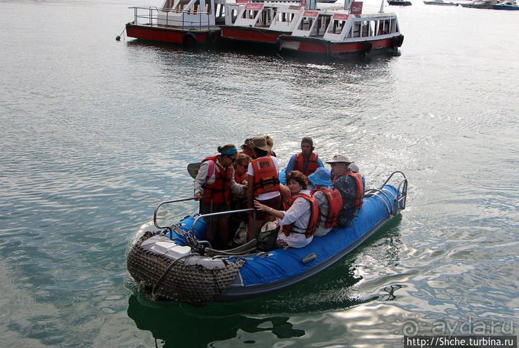 Экскурсия на остров Санта Фе — что хорошо, что плохо