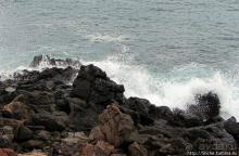 Экскурсия на остров Санта Фе — что хорошо, что плохо