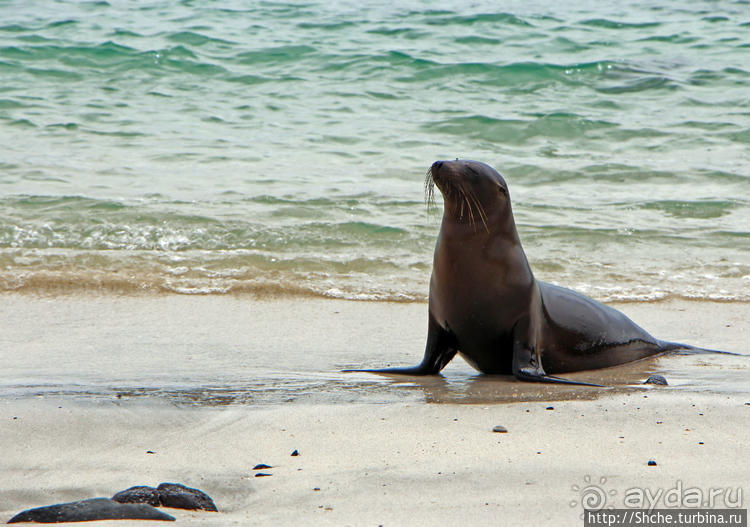 Экскурсия на остров Санта Фе — что хорошо, что плохо