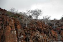 Экскурсия на остров Санта Фе — что хорошо, что плохо