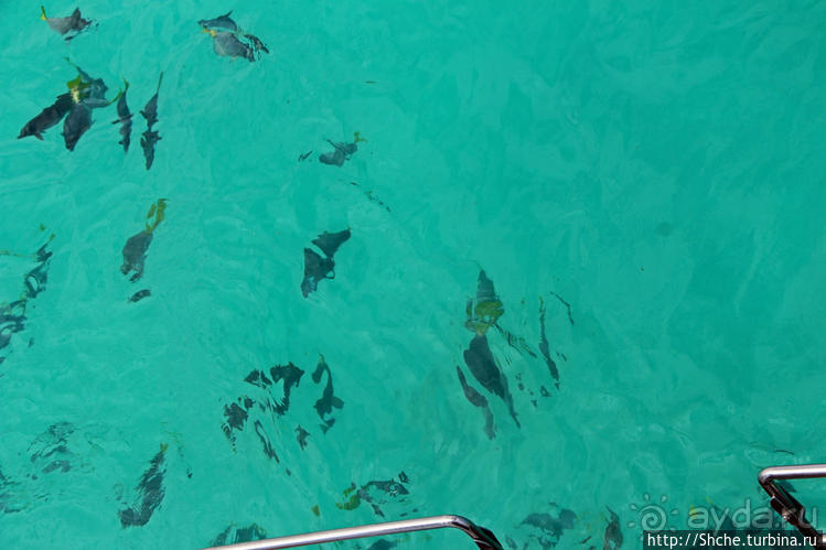 Экскурсия на остров Санта Фе — что хорошо, что плохо