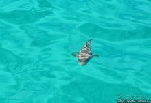 Экскурсия на остров Санта Фе — что хорошо, что плохо