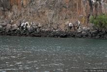 Экскурсия на остров Санта Фе — что хорошо, что плохо