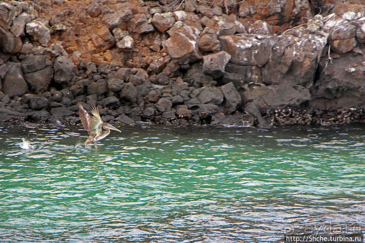Экскурсия на остров Санта Фе — что хорошо, что плохо