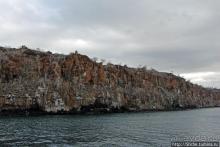 Экскурсия на остров Санта Фе — что хорошо, что плохо