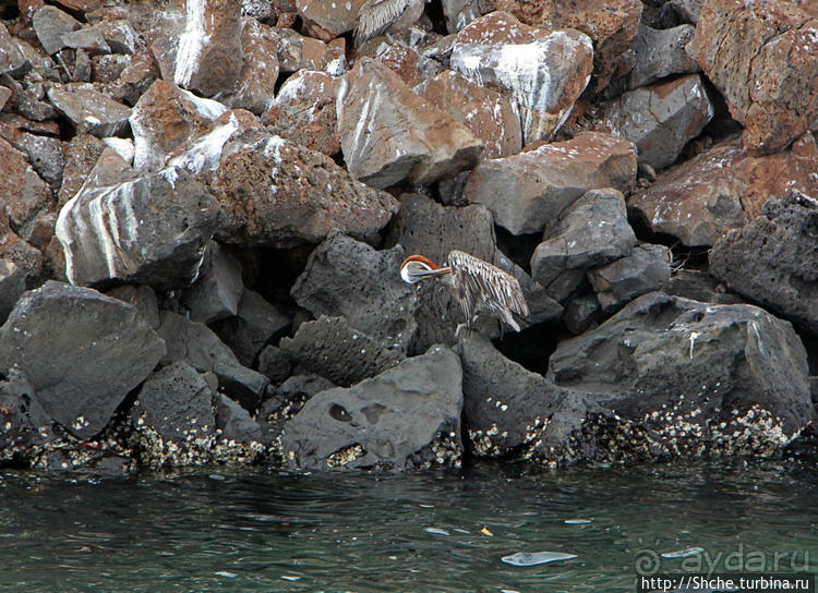 Экскурсия на остров Санта Фе — что хорошо, что плохо