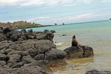Экскурсия на остров Санта Фе — что хорошо, что плохо