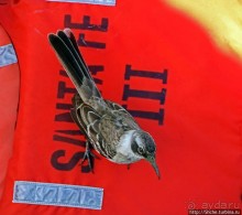 Экскурсия на остров Санта Фе — что хорошо, что плохо