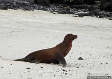 Экскурсия на остров Санта Фе — что хорошо, что плохо