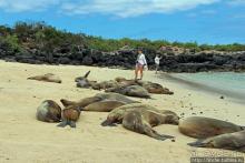 Экскурсия на остров Санта Фе — что хорошо, что плохо