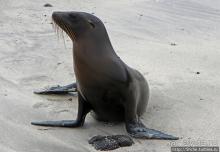 Экскурсия на остров Санта Фе — что хорошо, что плохо