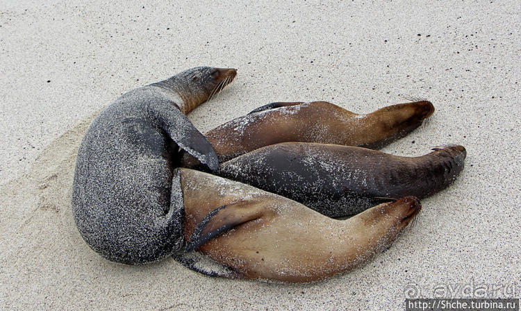 Экскурсия на остров Санта Фе — что хорошо, что плохо