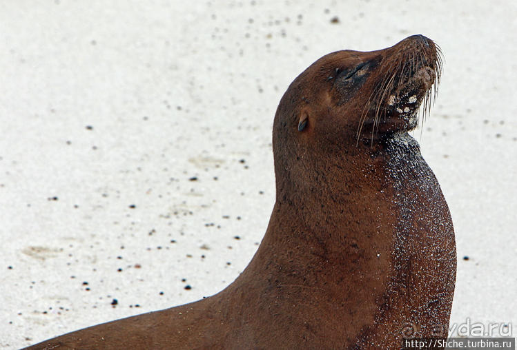 Экскурсия на остров Санта Фе — что хорошо, что плохо