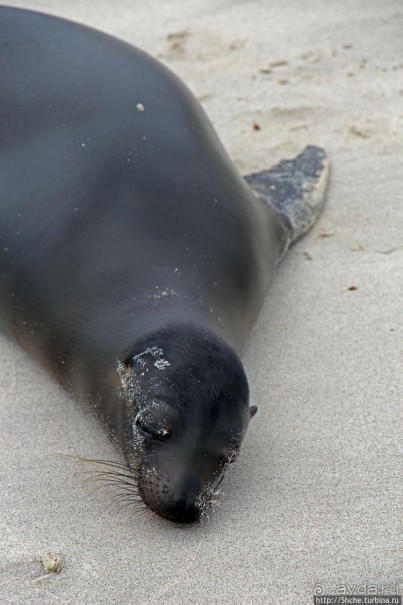 Экскурсия на остров Санта Фе — что хорошо, что плохо