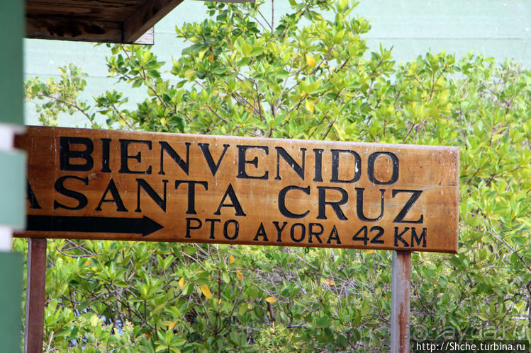 Экскурсия на остров Санта Фе — что хорошо, что плохо