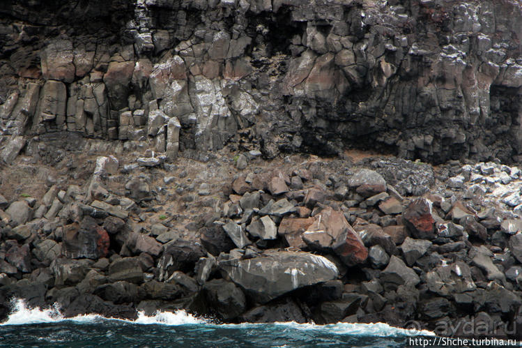 Экскурсия на остров Санта Фе — что хорошо, что плохо