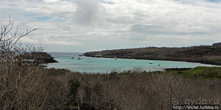 Экскурсия на остров Санта Фе — что хорошо, что плохо