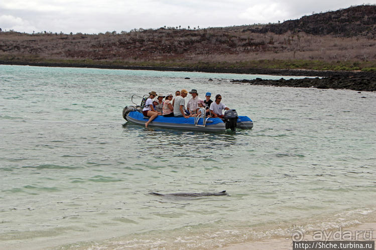 Экскурсия на остров Санта Фе — что хорошо, что плохо