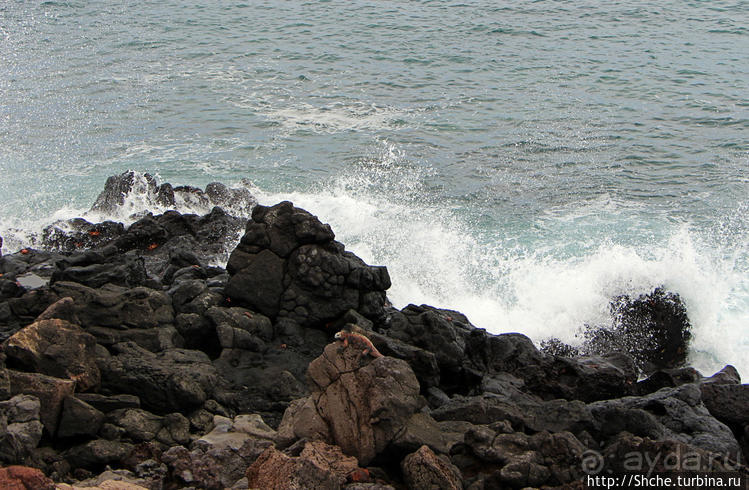 Экскурсия на остров Санта Фе — что хорошо, что плохо