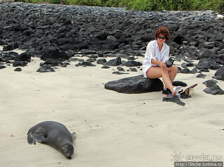 Экскурсия на остров Санта Фе — что хорошо, что плохо