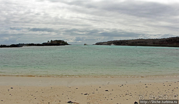 Экскурсия на остров Санта Фе — что хорошо, что плохо