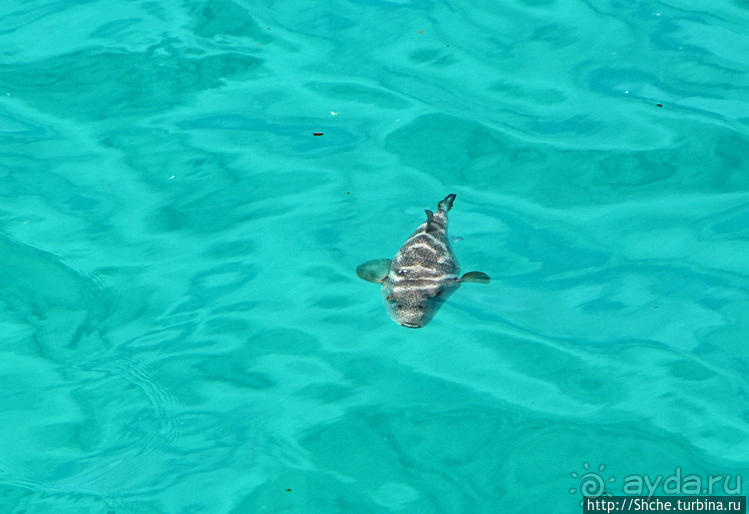 Экскурсия на остров Санта Фе — что хорошо, что плохо