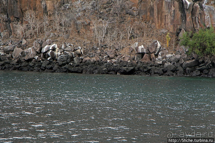 Экскурсия на остров Санта Фе — что хорошо, что плохо