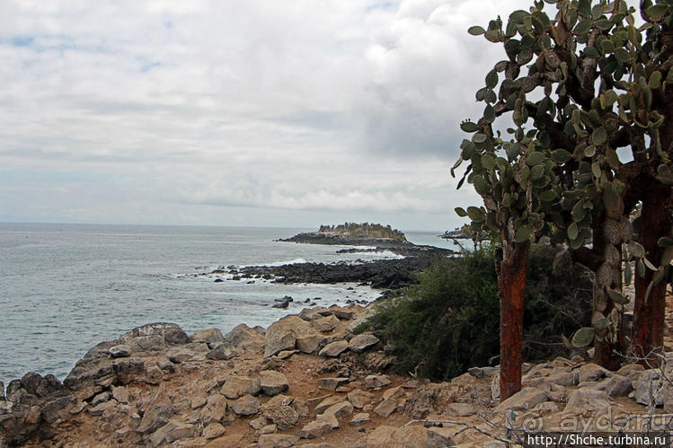 Экскурсия на остров Санта Фе — что хорошо, что плохо