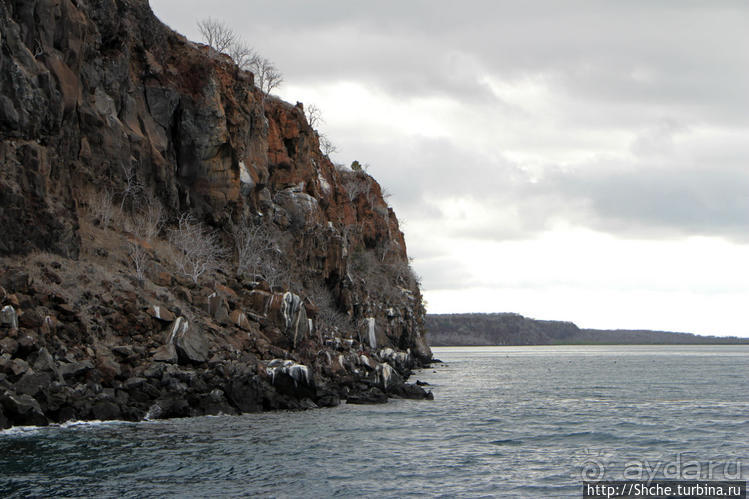 Экскурсия на остров Санта Фе — что хорошо, что плохо