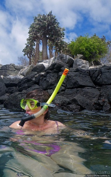 Экскурсия на остров Санта Фе — что хорошо, что плохо