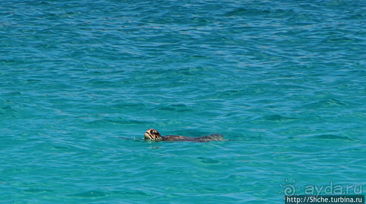 Экскурсия на остров Санта Фе — что хорошо, что плохо
