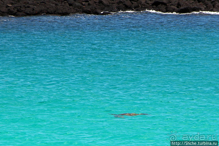 Экскурсия на остров Санта Фе — что хорошо, что плохо