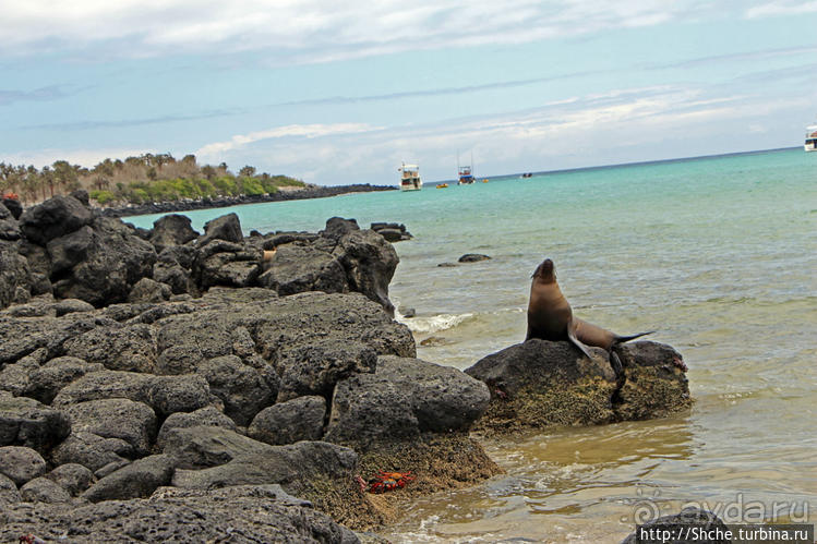 Экскурсия на остров Санта Фе — что хорошо, что плохо