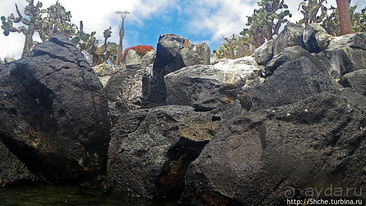 Экскурсия на остров Санта Фе — что хорошо, что плохо