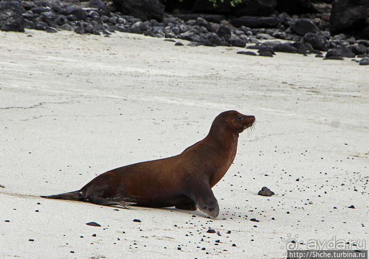 Экскурсия на остров Санта Фе — что хорошо, что плохо